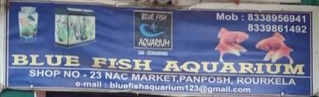 BLUE FISH AQUARIUM