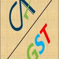 Chartered Accountant