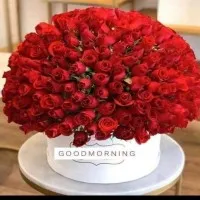 FLOWER BOUQET & DECORATION