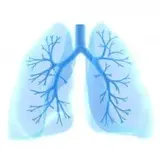 Doctor-TB & Chest
