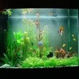 AQUARIUM